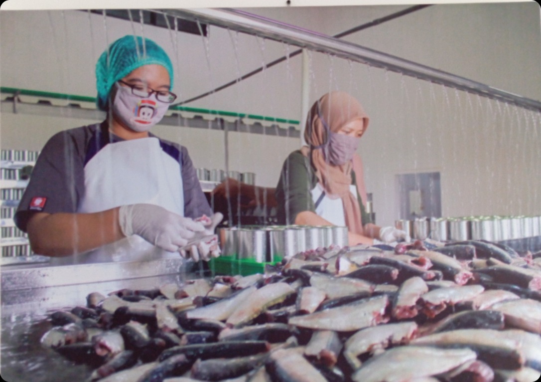 Praktik Pengalengan Ikan